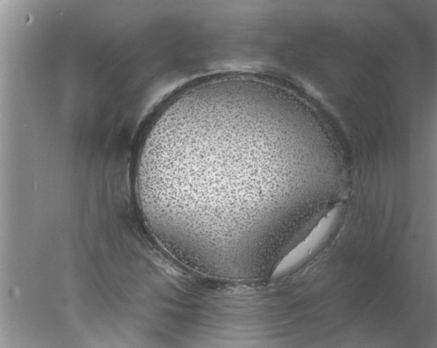 X0000078021214200611171904