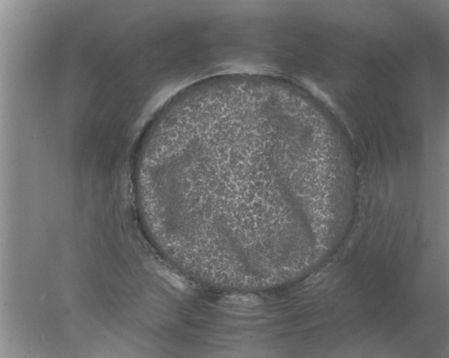 X0000078021215200611171904