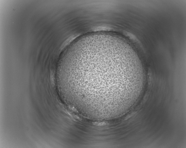 X0000078021217200611171904