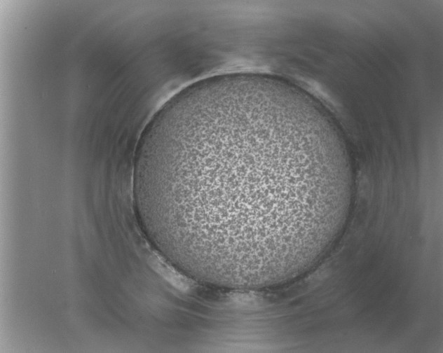 X0000078021220200611171904