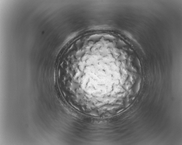 X0000078021221200611171904