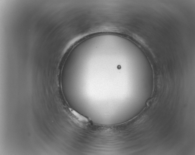 X0000078021222200611171904