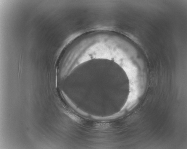 X0000078021223200611171904