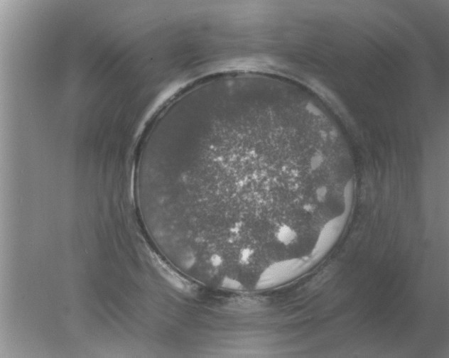 X0000078021224200611171904