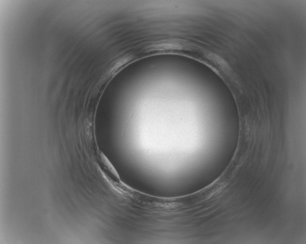 X0000078021225200611171904