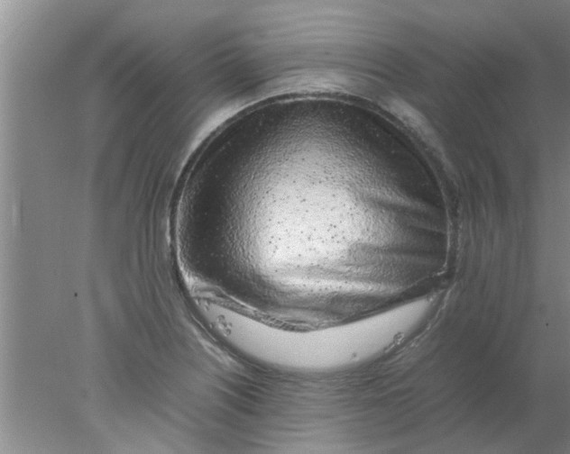 X0000078021226200611171904