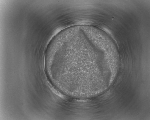 X0000078021227200611171904