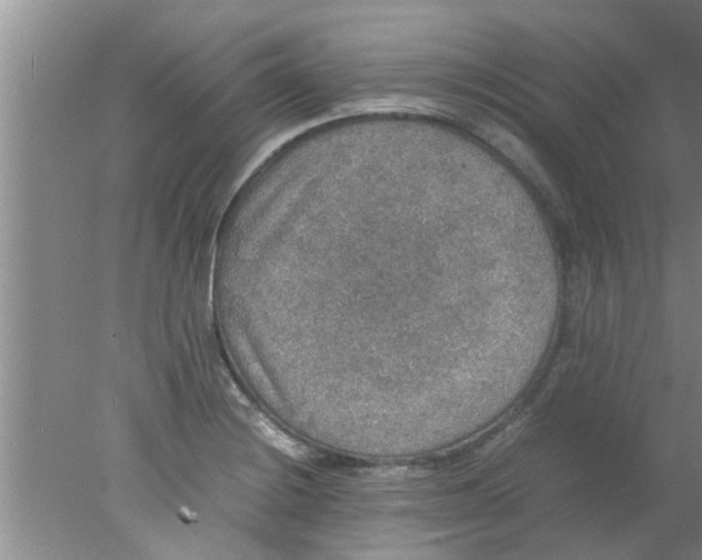 X0000078021228200611171904