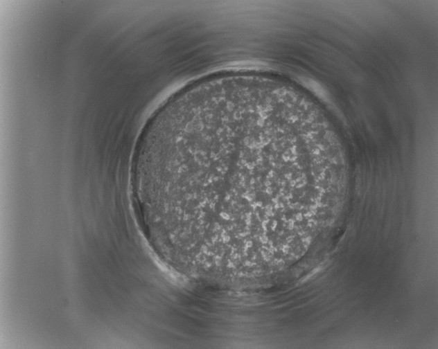 X0000078021229200611171904