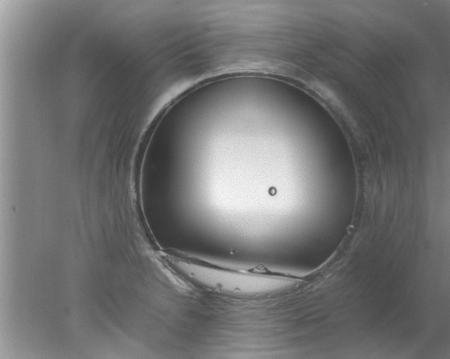 X0000078021230200611171904