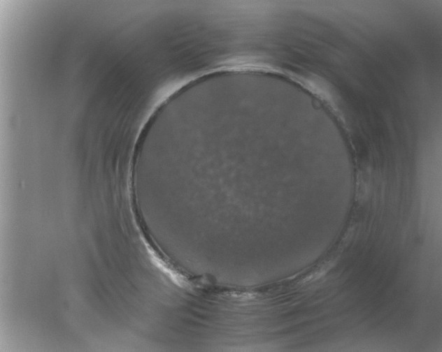 X0000078021231200611171904