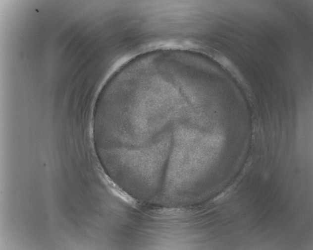 X0000078021232200611171904