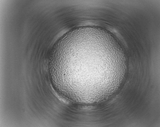 X0000078021233200611171904