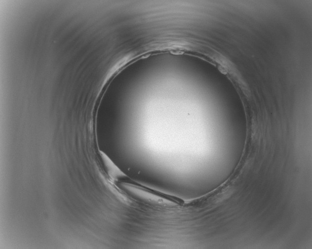 X0000078021234200611171904