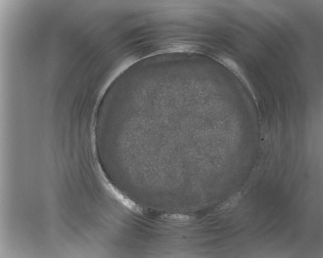 X0000078021235200611171904