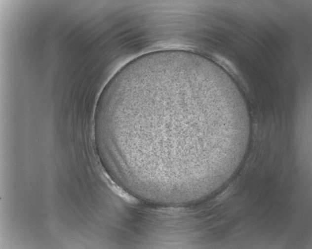 X0000078021236200611171904