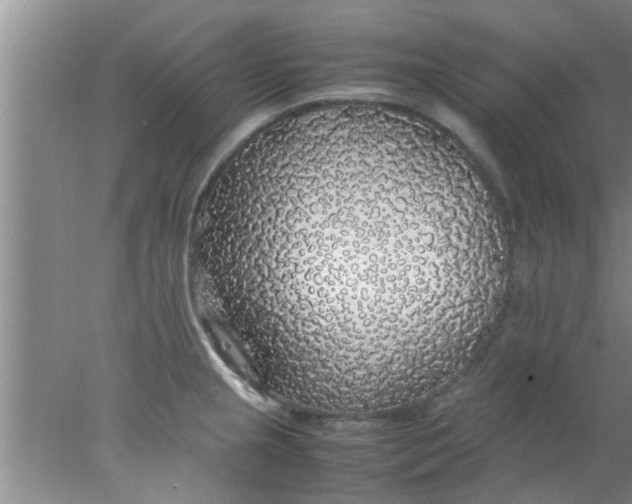 X0000078021237200611171904