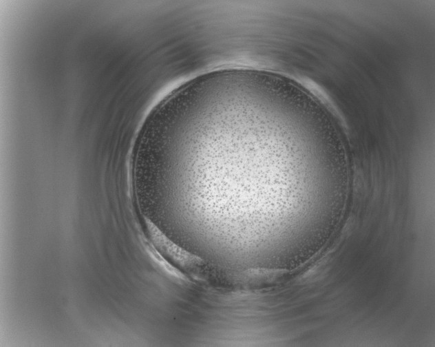 X0000078021238200611171904