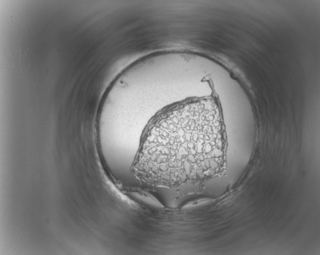 X0000078021239200611171904