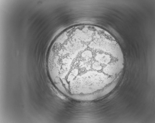 X0000078021240200611171904