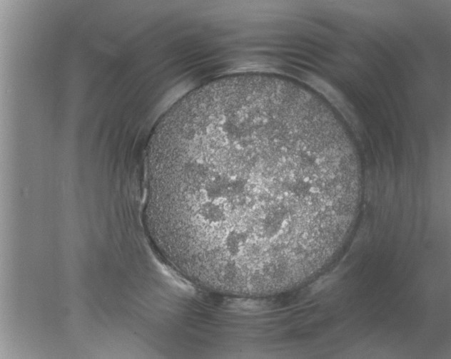 X0000078021241200611171904