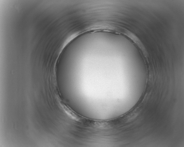 X0000078021242200611171904