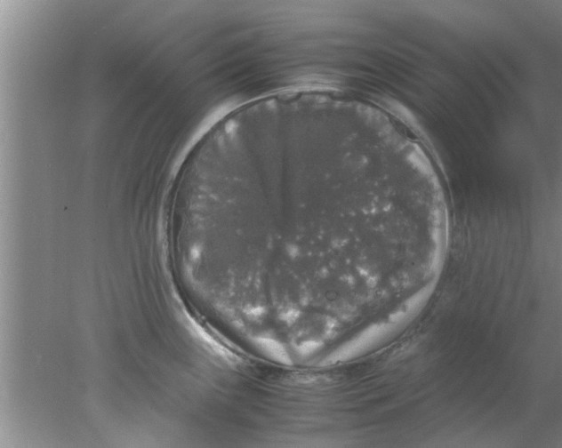 X0000078021243200611171904