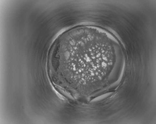 X0000078021245200611171904