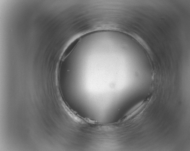 X0000078021246200611171905