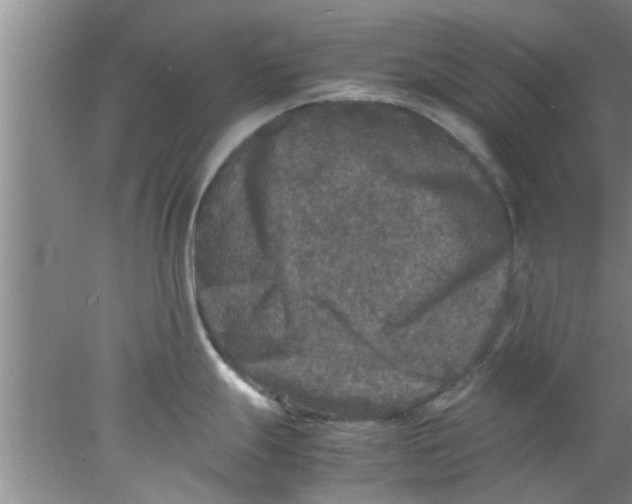 X0000078021247200611171905