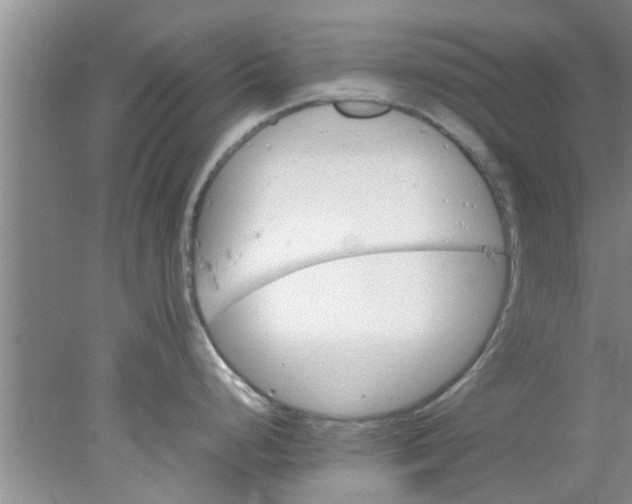 X0000078021248200611171905