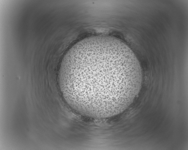 X0000078021249200611171904