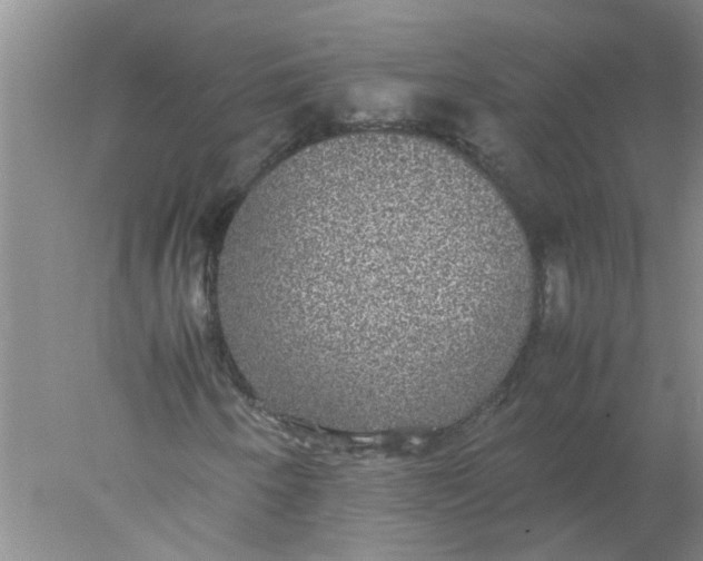 X0000078021250200611171904