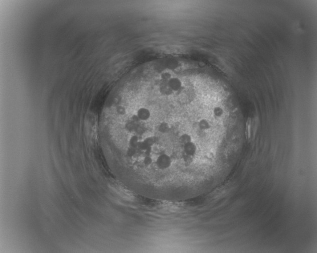 X0000078021251200611171904