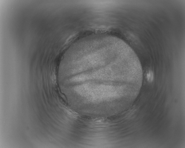 X0000078021252200611171904