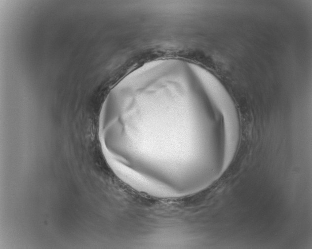 X0000078021253200611171904