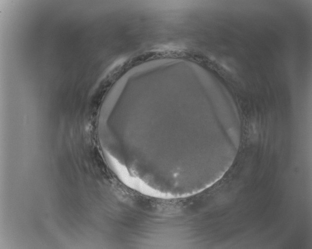 X0000078021254200611171904