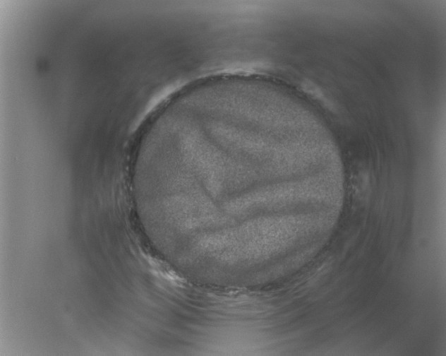 X0000078021256200611171904