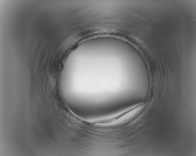 X0000078021257200611171904