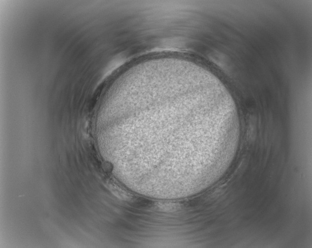 X0000078021258200611171904