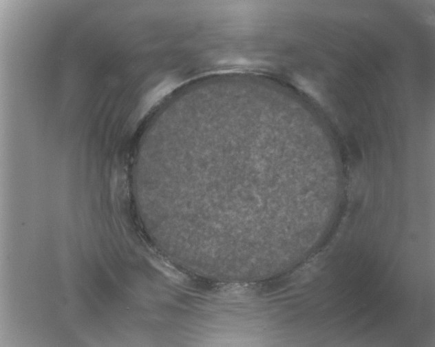 X0000078021259200611171904