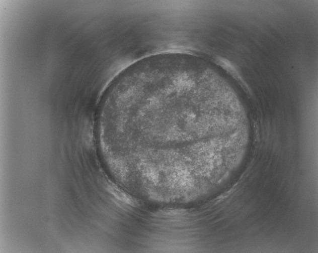 X0000078021260200611171904