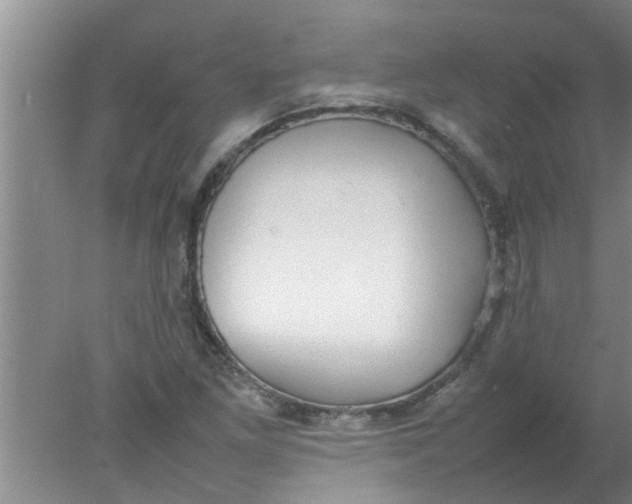 X0000078021261200611171904