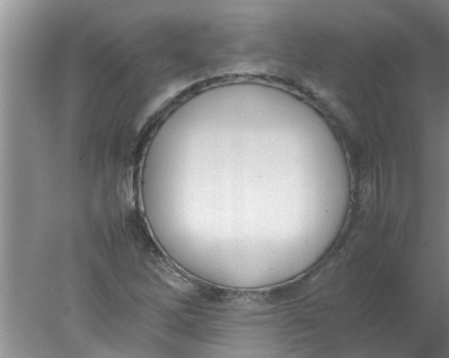 X0000078021262200611171904