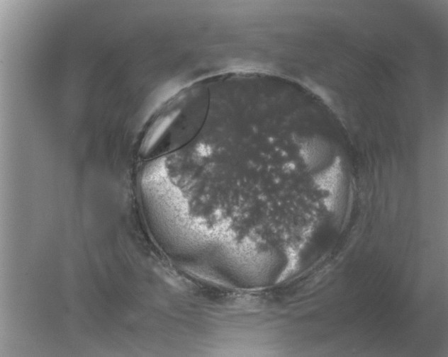 X0000078021263200611171903