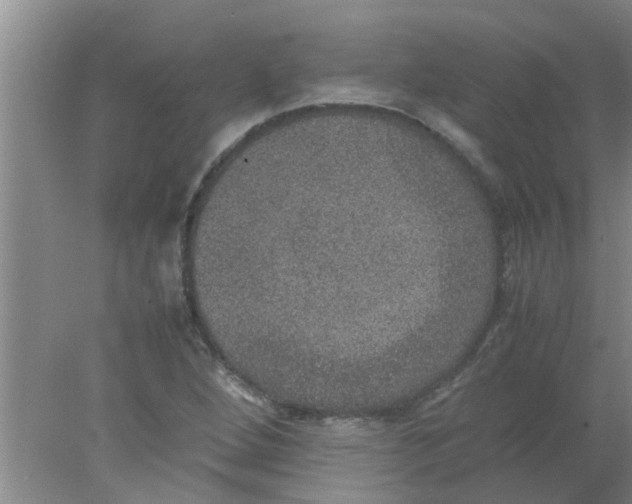 X0000078021264200611171903