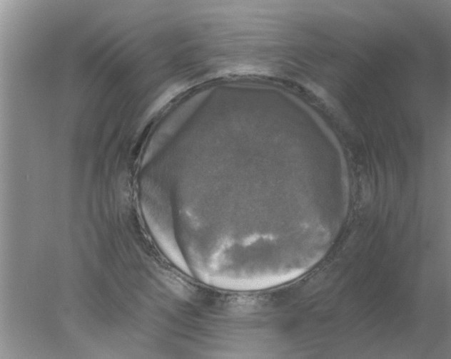 X0000078021266200611171903