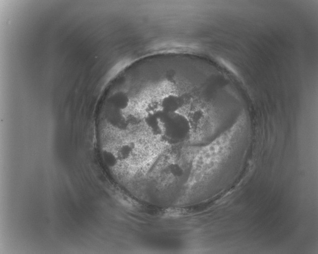 X0000078021267200611171903