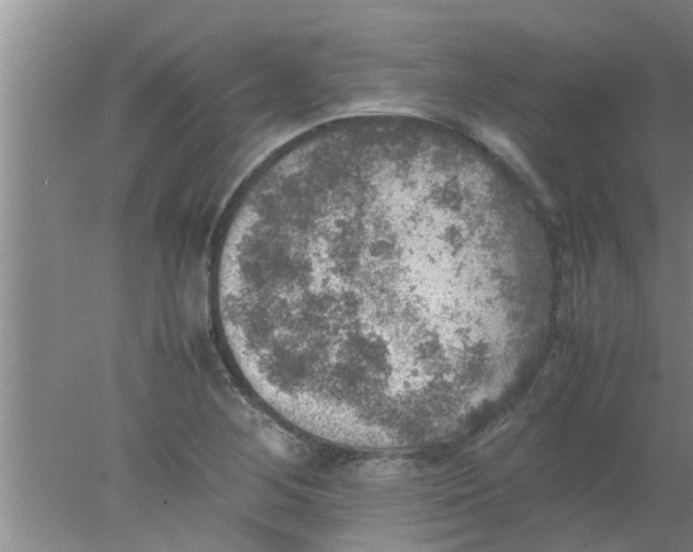 X0000078021268200611171903