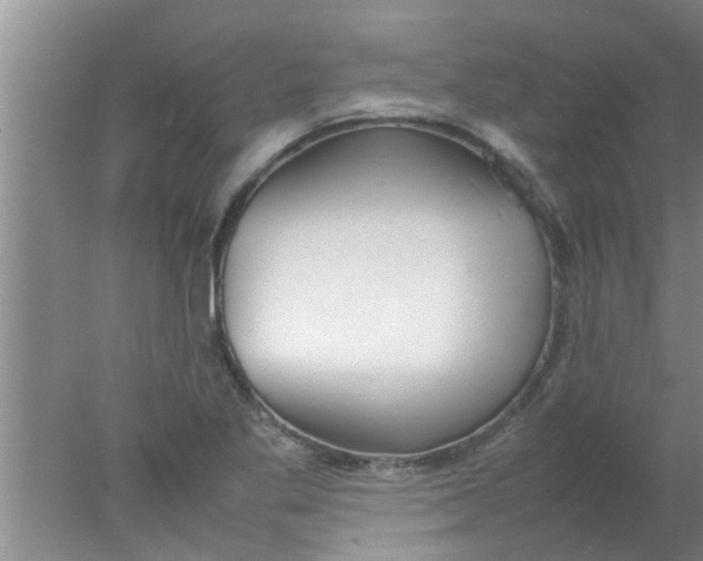 X0000078021269200611171903